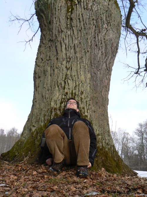 Jak je člověk nicotný proti prastarému stromu