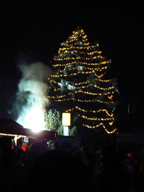 Vánoční stromeček města Nové Paky