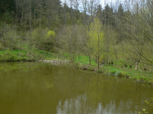 Rybník v údolí Vranského potoka