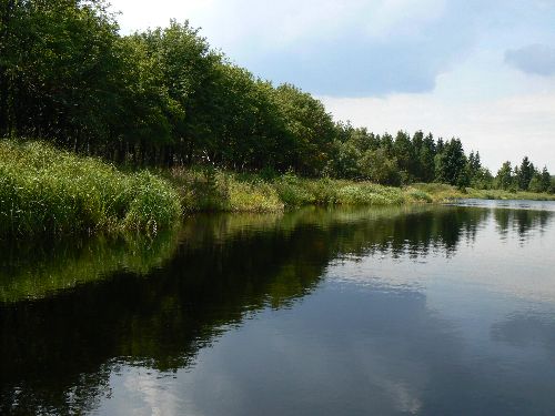 Nový rybník u Novodomského rašeliniště