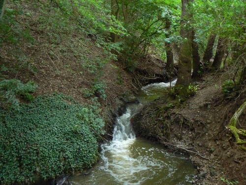 Únětický potok v Tichém údolí, s vodou, znečištěnou splašky