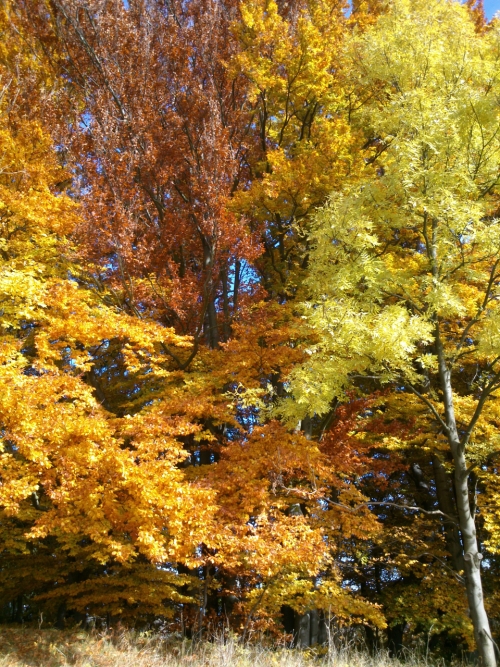 Barvy nejkrásnějšího podzimu