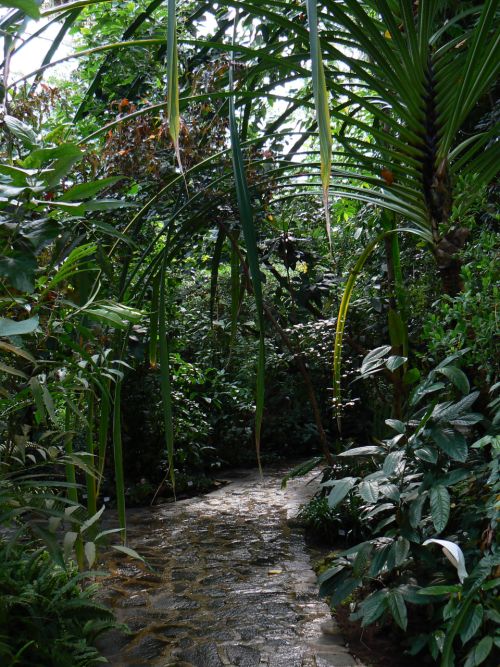 Tropický skleník Botanické zahrady v Teplicích