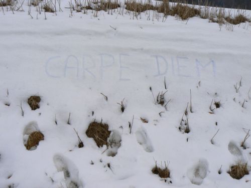Proč do sněhu píší Carpe Diem?