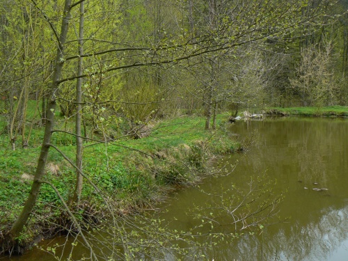 U rybníka v údolí Vranského potoka