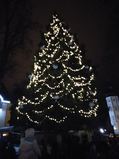 Rozsvícený vánoční strom