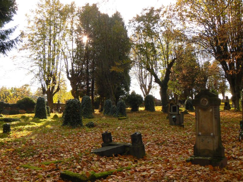 Pár slunečních paprsků ozařuje zpustlé hroby, zasypané listím