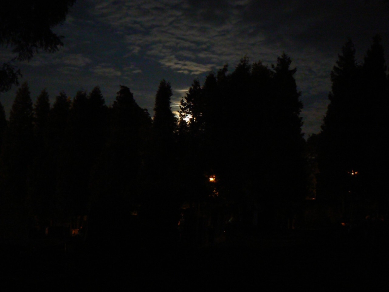 Měsíc v úplňku, vycházející mezi temnými siluetami hřbitovních stromů.