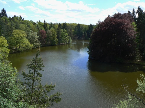 Výhled na rybník Bořín